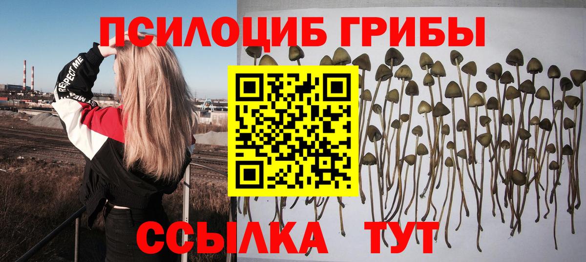Галлюциногенные грибы MAGIC MUSHROOMS Прокопьевск