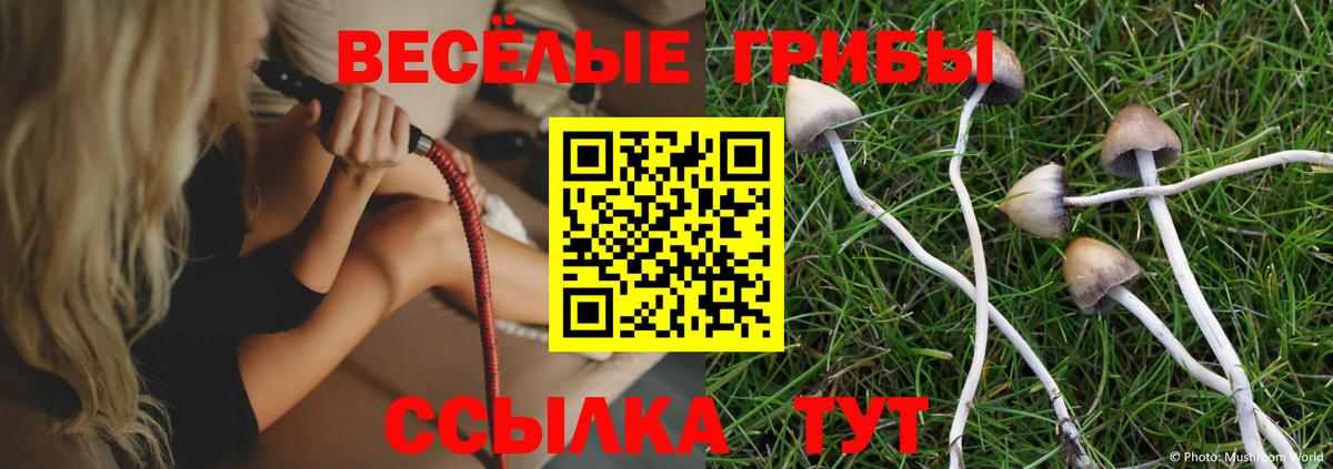 Псилоцибиновые грибы ЛСД  Вход с VPN  Прокопьевск 